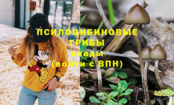 ALPHA PVP Володарск