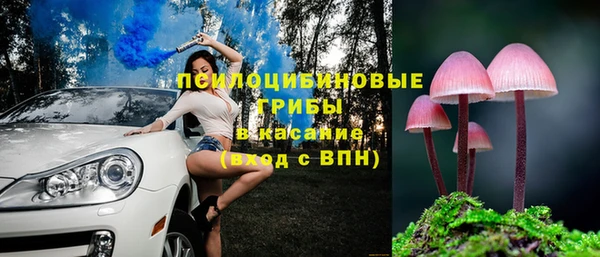 соль ск Волосово