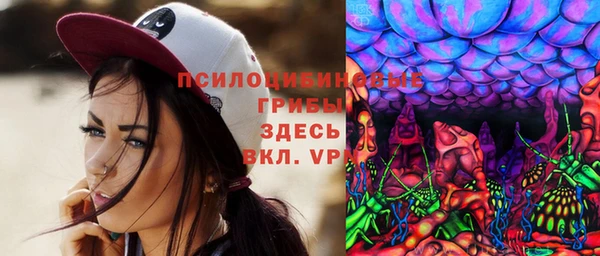 соль ск Волосово