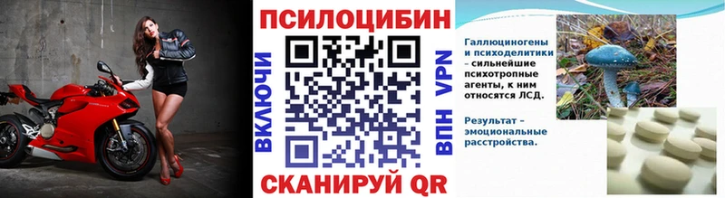 дарнет шоп  KRAKEN ССЫЛКА  Псилоцибиновые грибы GOLDEN TEACHER  Элиста 
